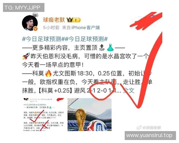 体育胜负预测：专家解读本周重要比赛