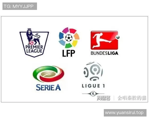 五大联赛转播权变化